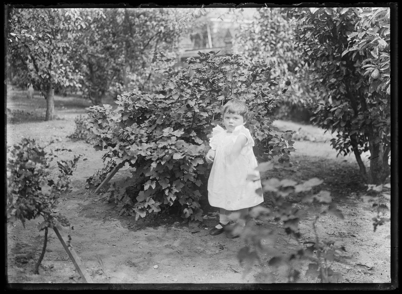 Glasnegatief van een foto van Charles Cupyers (als kind) in de tuin