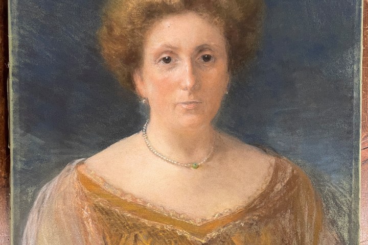 Portret van Delphine Cuypers-Povel